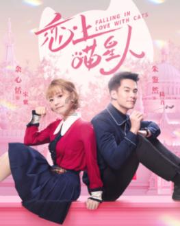 乐儿七巧板