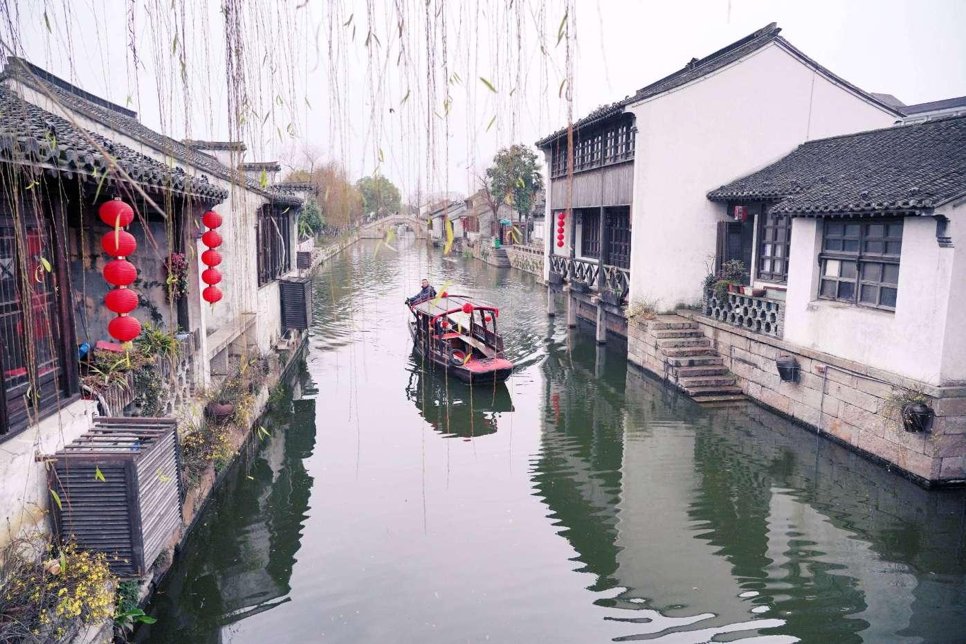 在哪可以免费领玄凤鹦鹉？游戏画面